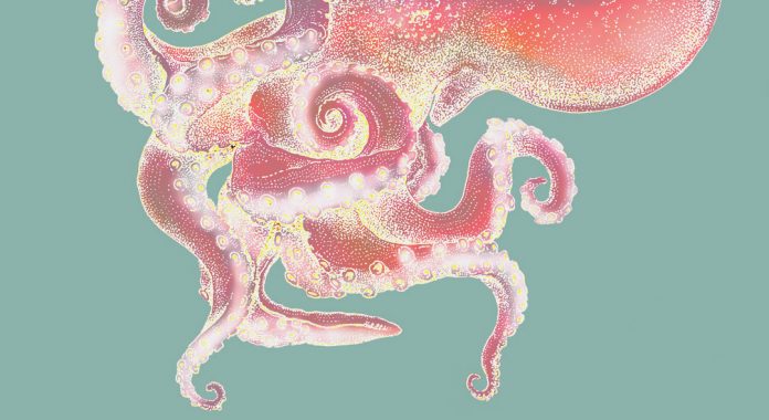 Delirio nacionalista - Jesús Manuel López