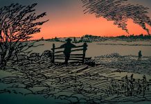 Consultar en caso de incendio Consultar en caso de incendio - Eduardo Gómez - Autobiografía de Zweig