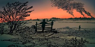 Consultar en caso de incendio Consultar en caso de incendio - Eduardo Gómez - Autobiografía de Zweig