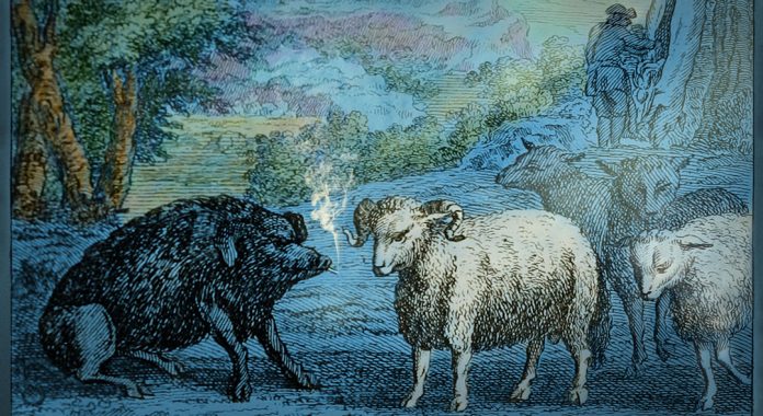 El Estado es mi pastor - Francisco G Alcón