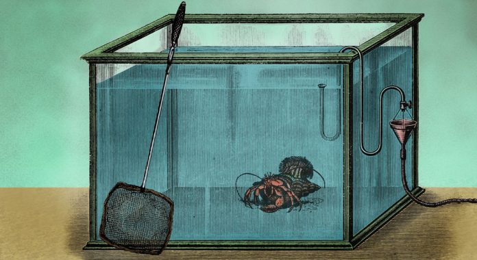 Josu Terner, el icono de ETA - Niko Gutiérrez