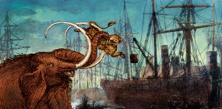 Algunas consideraciones sobre la Estiba - Jose Fernández