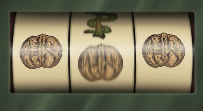 ETA derrotada, ¿pero las nueces? ETA derrotada, ¿pero las nueces - Jesús Manuel López