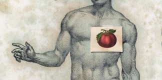 El cultivo del tomate después de la Reforma - Fernando Castelló