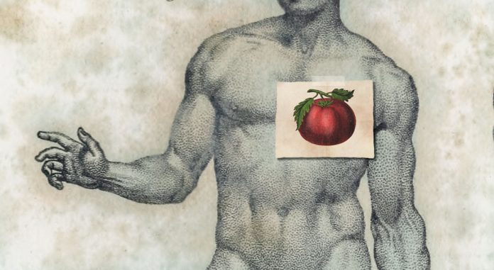 El cultivo del tomate después de la Reforma - Fernando Castelló