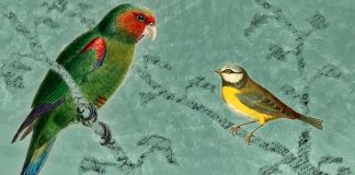 Una lengua multietnica - Fernando Savater