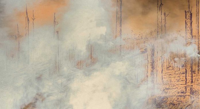 Cortina de humo - Esperanza Fernandez Acedo