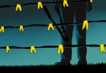 Fiebre amarilla Fiebre amarilla - Carlos Silva