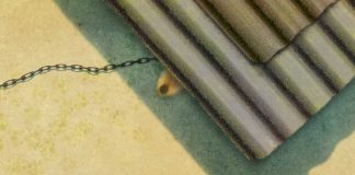 Los perros de los cortijos - Francisco Gonzalez