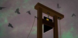 Los miserables y las tarjetas black Tarjetas black - Andres Herzog