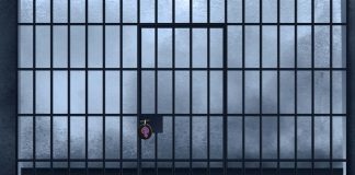 Violencia de género: una tesis que no va a gustar a nadie Violencia de genero - Andres Herzog